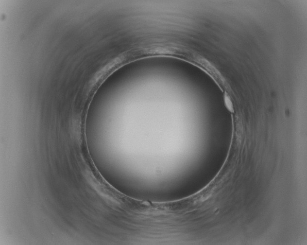 X0000083530386200702161918