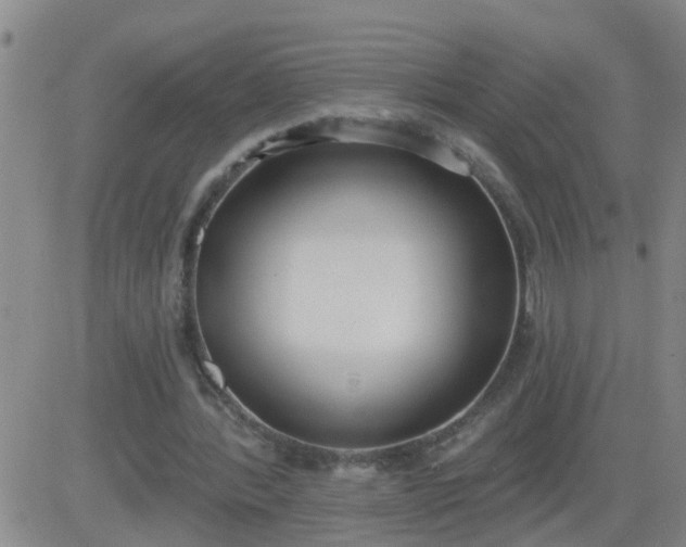 X0000083530388200702161918