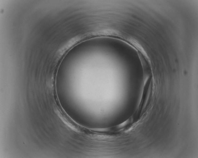 X0000083530389200702161918