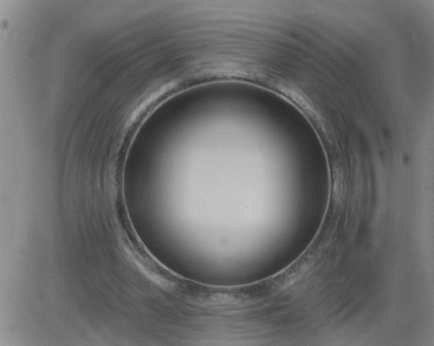 X0000083530390200702161918