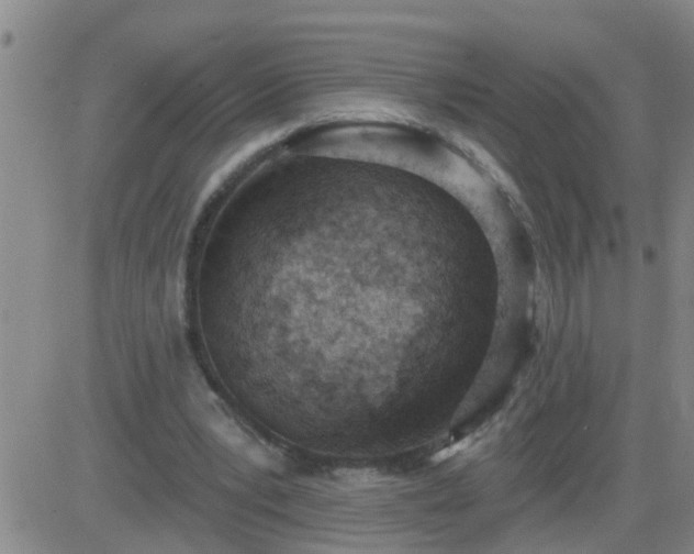 X0000083530391200702161918