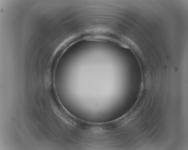 X0000083530392200702161918