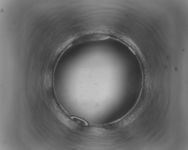 X0000083530393200702161918