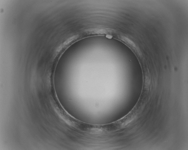 X0000083530394200702161917