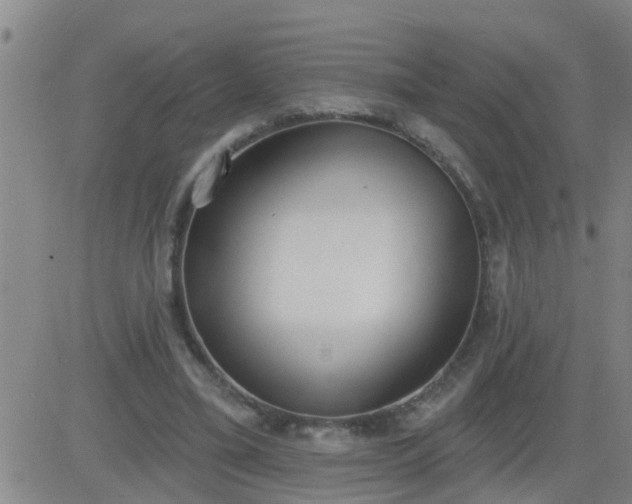 X0000083530395200702161917