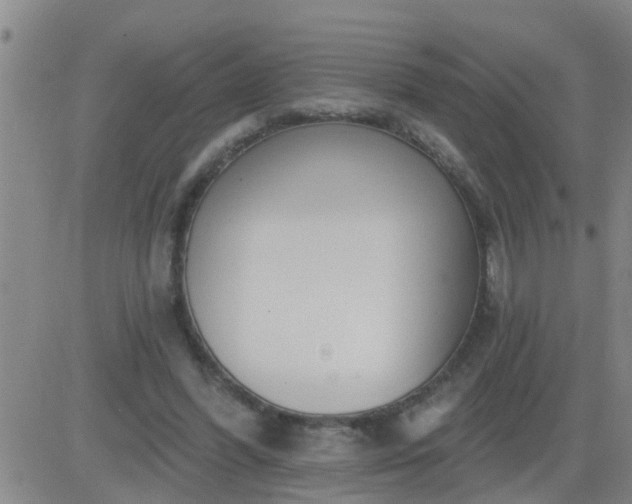 X0000083530396200702161917