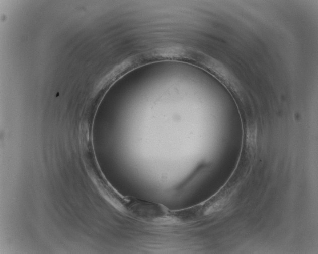 X0000083530397200702161917