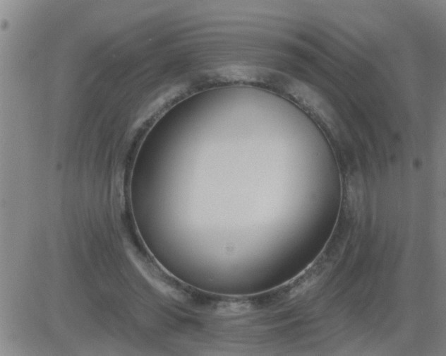 X0000083530398200702161917