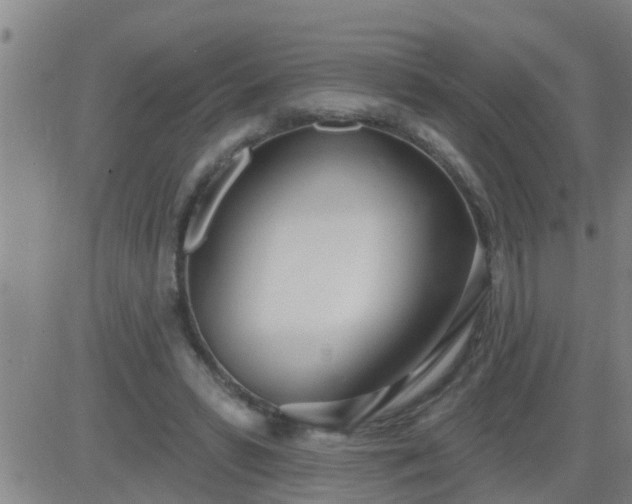 X0000083530399200702161917