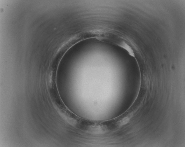 X0000083530404200702161917