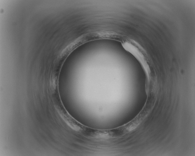 X0000083530405200702161917