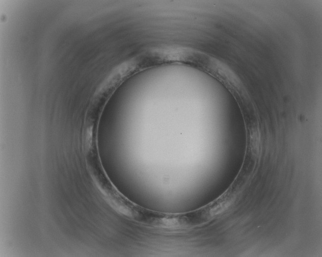 X0000083530406200702161917