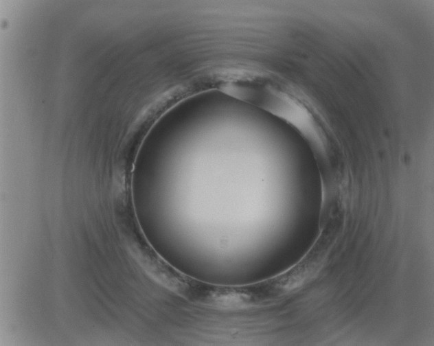 X0000083530407200702161917