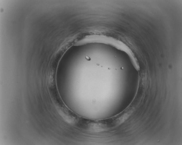 X0000083530408200702161917