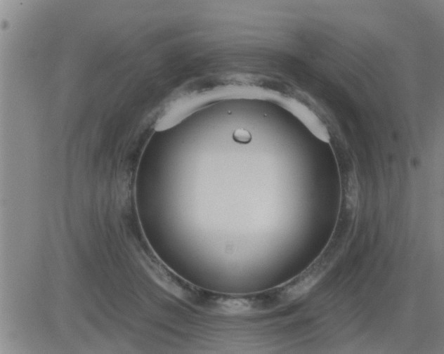 X0000083530409200702161917