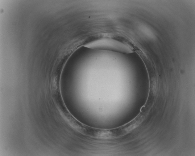 X0000083530410200702161917