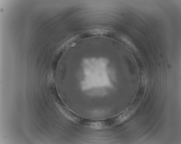 X0000083530411200702161917