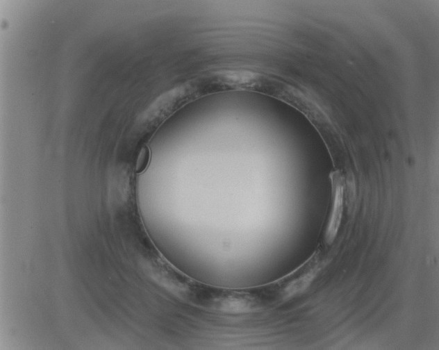 X0000083530412200702161917