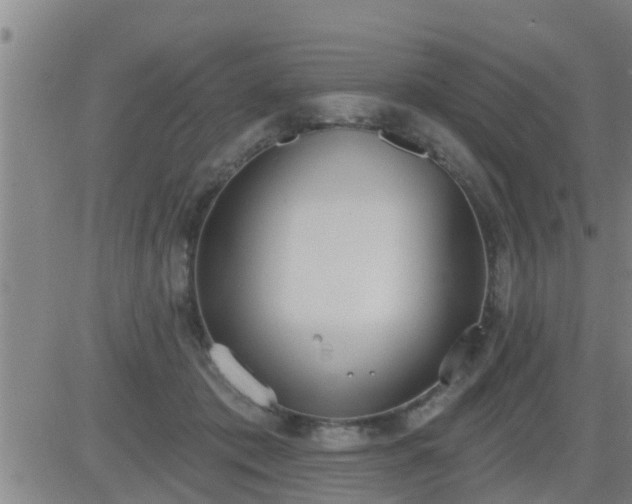 X0000083530413200702161917