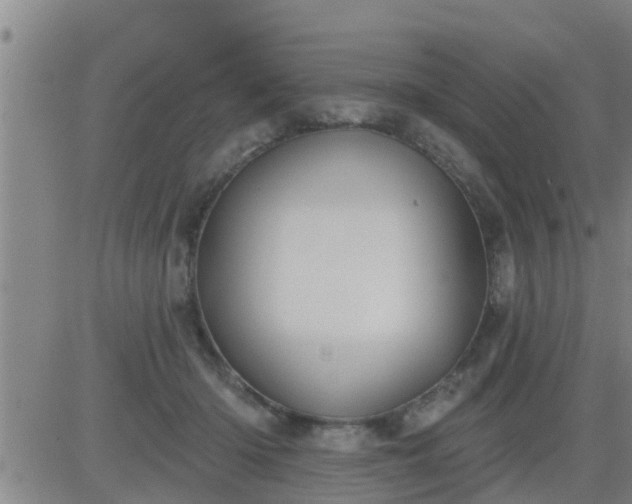 X0000083530414200702161917