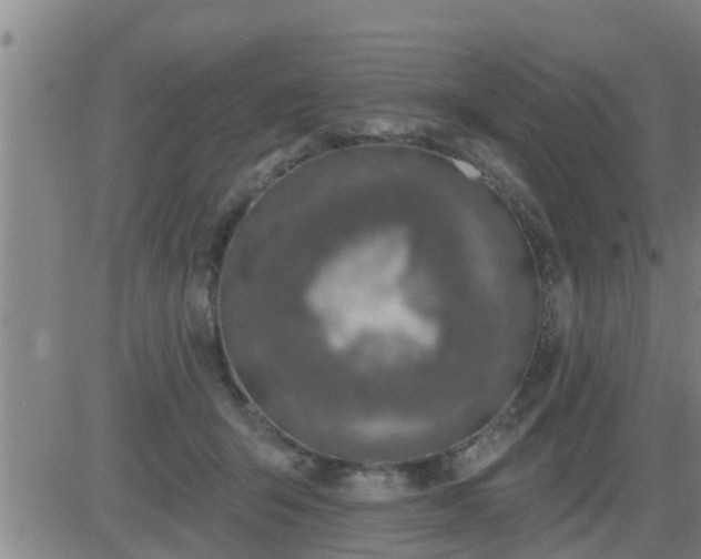 X0000083530415200702161917