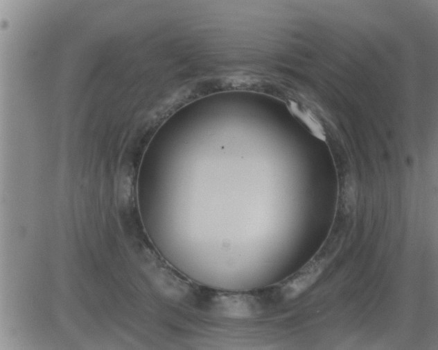 X0000083530417200702161917