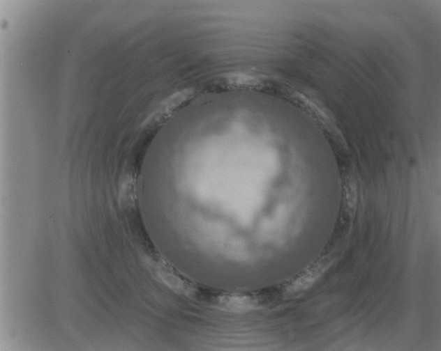 X0000083530419200702161917