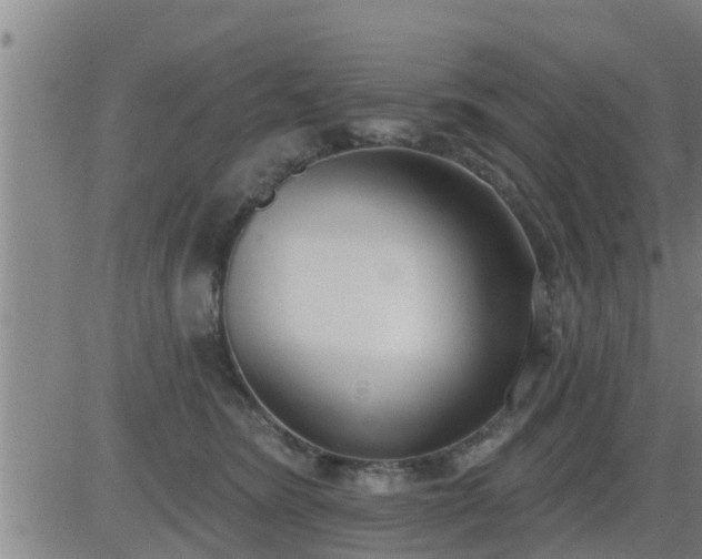 X0000083530420200702161917