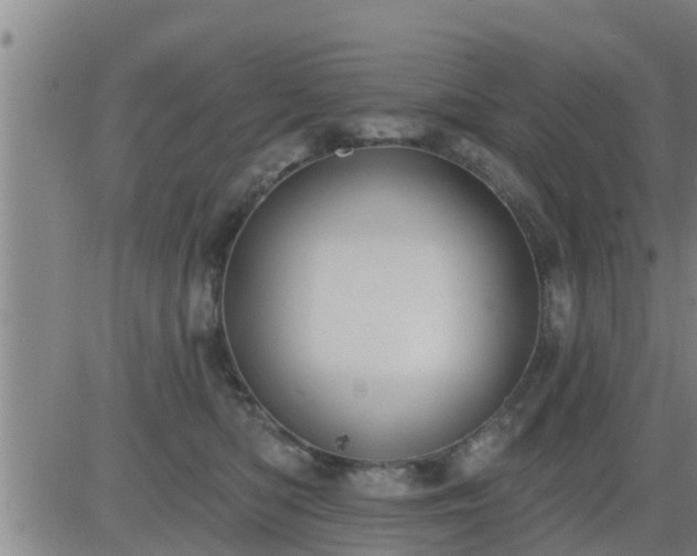 X0000083530422200702161917