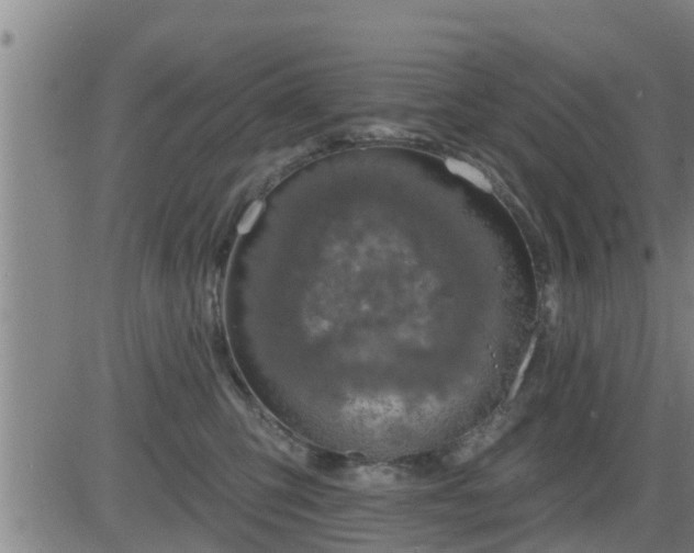 X0000083530423200702161917