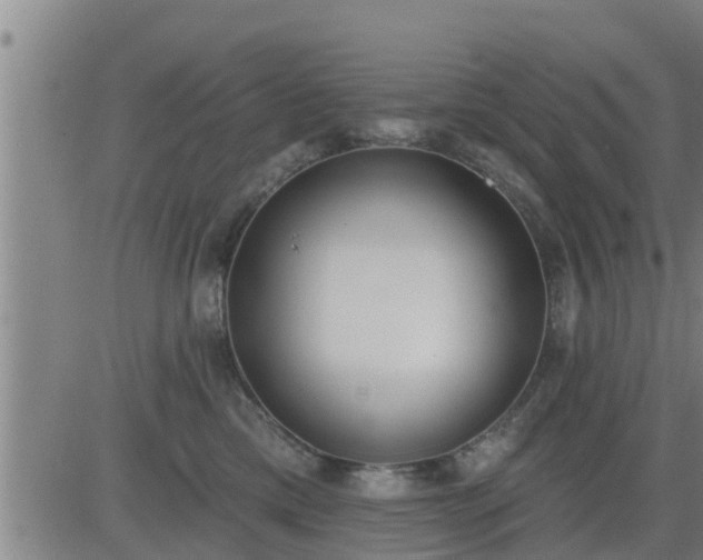 X0000083530425200702161917