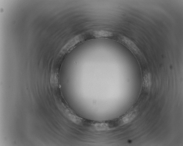 X0000083530426200702161917