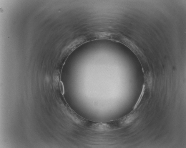 X0000083530427200702161917