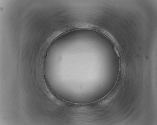 X0000083530433200702161916