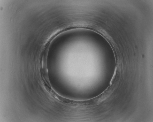 X0000083530434200702161916