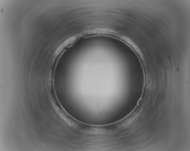 X0000083530437200702161916