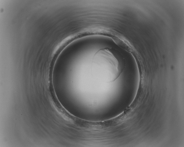 X0000083530438200702161916