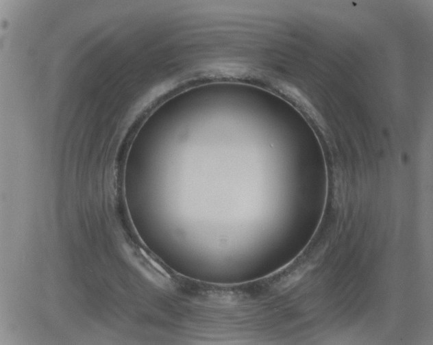 X0000083530439200702161916