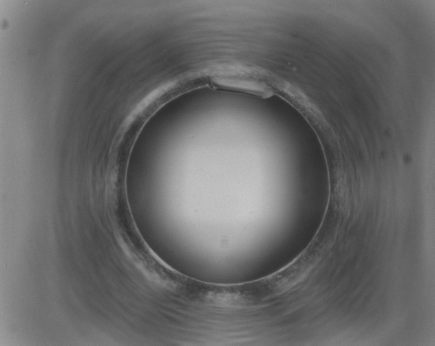 X0000083530440200702161916