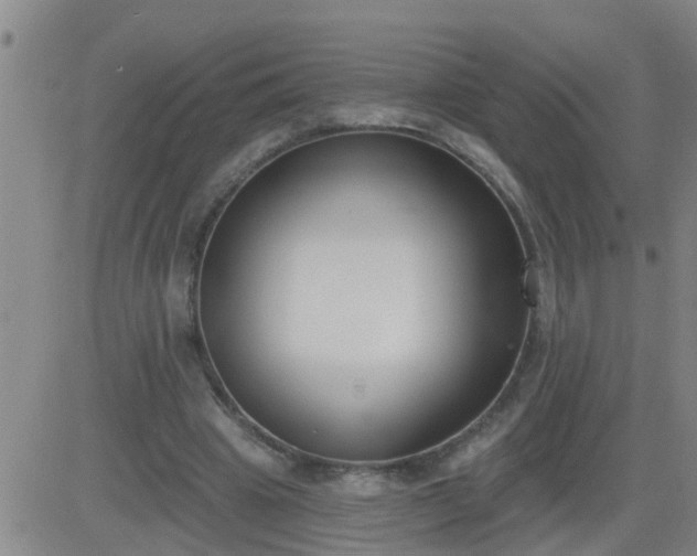 X0000083530441200702161916