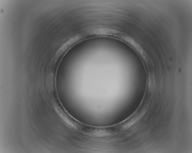 X0000083530445200702161916