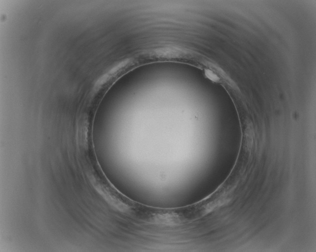 X0000083530446200702161916