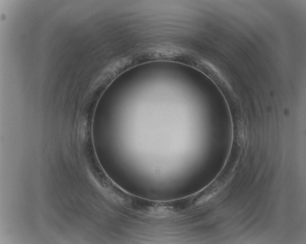 X0000083530451200702161916