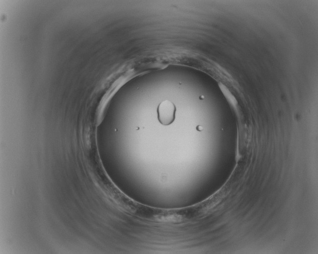 X0000083530452200702161916