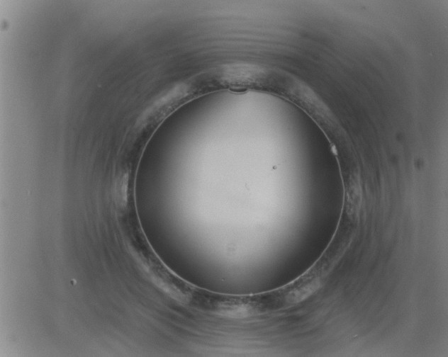 X0000083530454200702161916