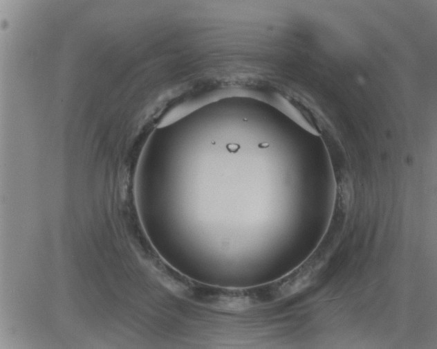 X0000083530458200702161917