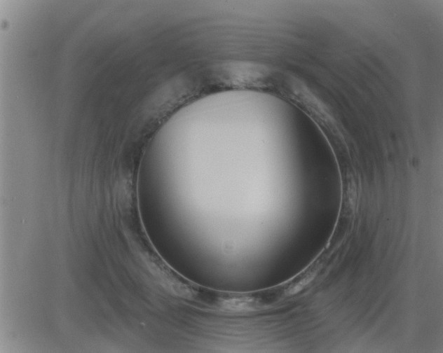 X0000083530461200702161917