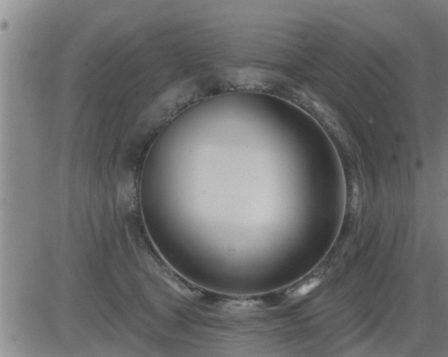 X0000083530465200702161917