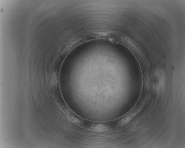 X0000083530467200702161917