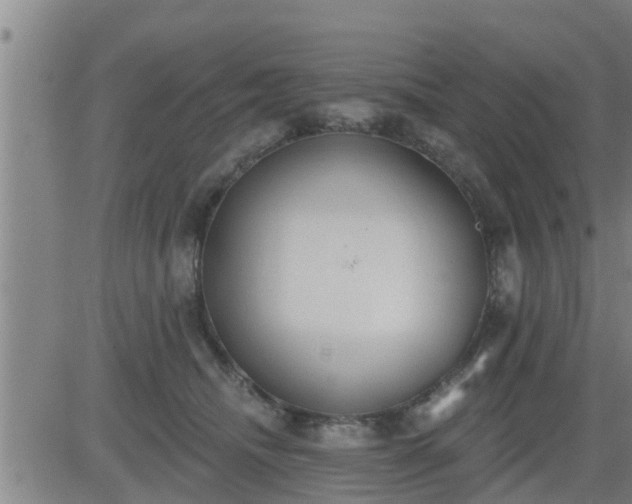 X0000083530468200702161917